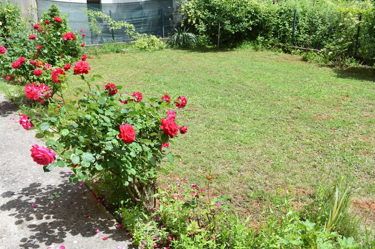 Guest House Regina Mundi Međugorje Εξωτερικό φωτογραφία
