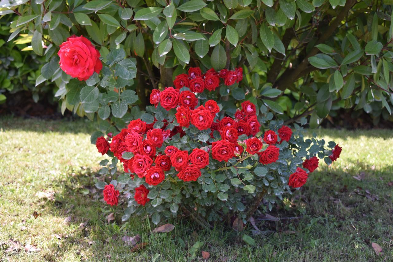 Guest House Regina Mundi Međugorje Εξωτερικό φωτογραφία