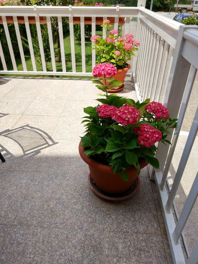 Guest House Regina Mundi Međugorje Εξωτερικό φωτογραφία